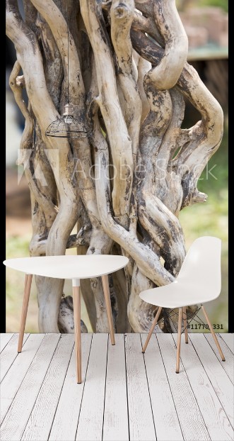Picture of Twisted branches